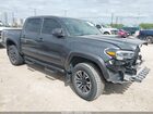 2023 Toyota Tacoma Trd Sport Gray vin: 3TMAZ5CN0PM204576