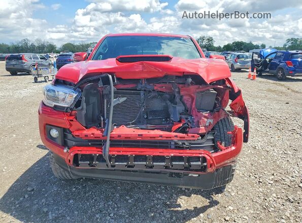 3TMCZ5AN0HM107763 2017 TOYOTA TACOMA Red Widok z przodu