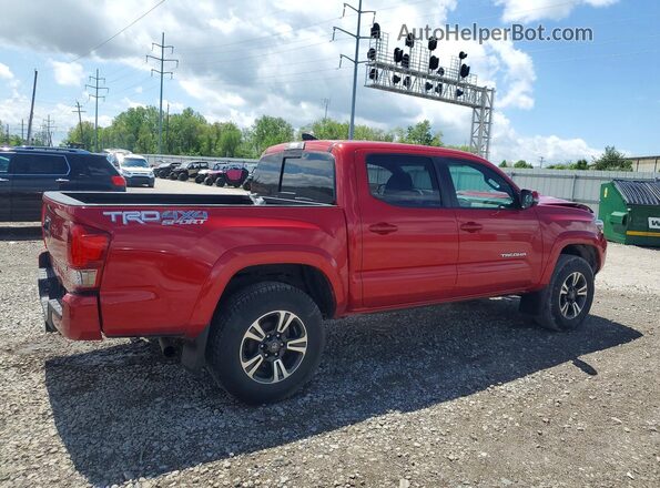 3TMCZ5AN0HM107763 2017 TOYOTA TACOMA Red Tył prawy