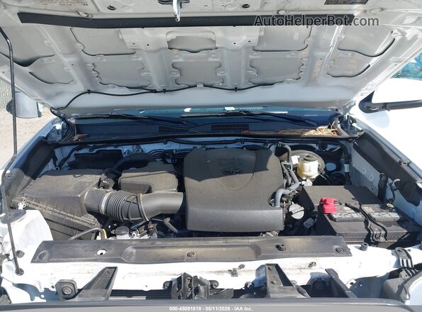 3TMCZ5AN2PM584547 2023 TOYOTA TACOMA White Вид ззаду