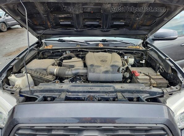 3TMCZ5AN5LM317719 2020 TOYOTA TACOMA Серый Вид задней части салона