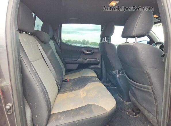 3TMCZ5AN5LM317719 2020 TOYOTA TACOMA Серый Вид задних сидений