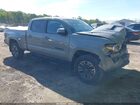 2021 Toyota Tacoma Trd Sport Gray vin: 3TMDZ5BN3MM102814