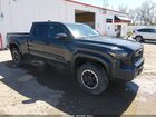 2024 Toyota Tacoma Trd Off Road Серый vin: 3TMLB5JN2RM079518