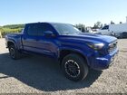 2024 Toyota Tacoma Trd Sport Blue vin: 3TMLB5JN3RM070214