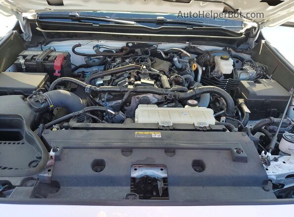 3TMLB5JN5RM034475 2024 TOYOTA TACOMA Белый Вид задней части салона