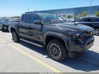 2024 Toyota Tacoma Trd Sport Gray vin: 3TMLB5JN5RM078587