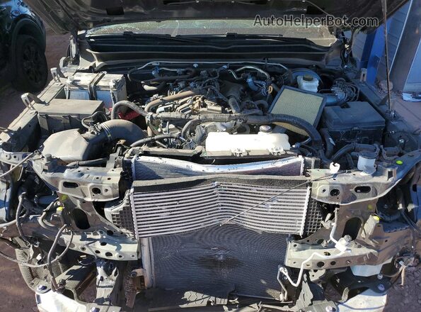 3TMLB5JN6RM058770 2024 TOYOTA TACOMA Угольный Вид задней части салона