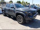 2024 Toyota Tacoma Trd Sport Gray vin: 3TMLB5JN6RM076606