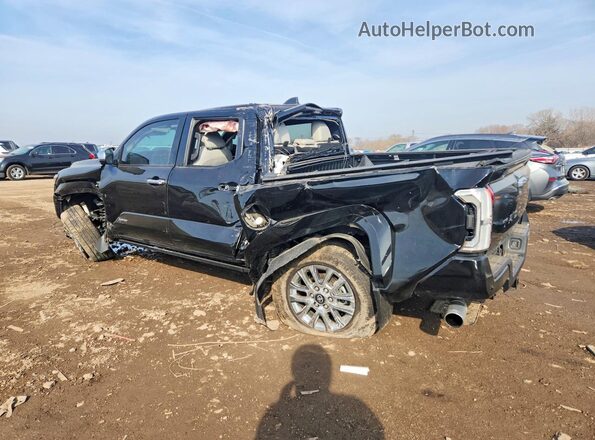 3TMLB5JN7SM109795 2025 TOYOTA LIMITED Черный Задняя левая четверть