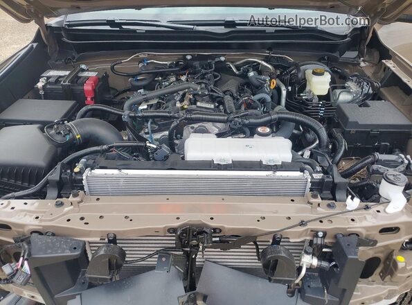 3TMLB5JN7TM248987 2026 TOYOTA TACOMA Tan Вид задньої частини салону
