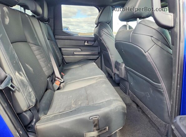 3TMLB5JN8RM037337 2024 TOYOTA TACOMA Синий Вид задних сидений
