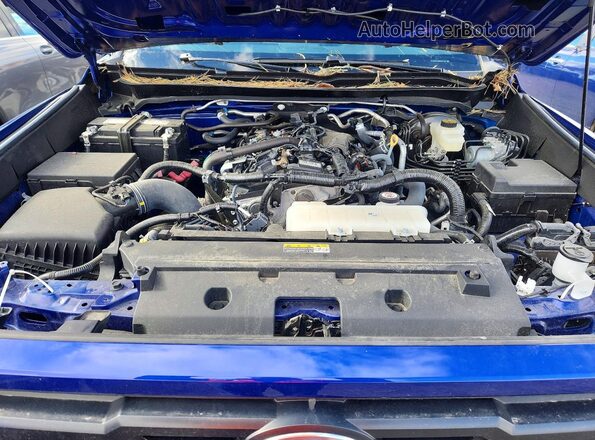 3TMLB5JN8RM037337 2024 TOYOTA TACOMA Синий Вид задней части салона
