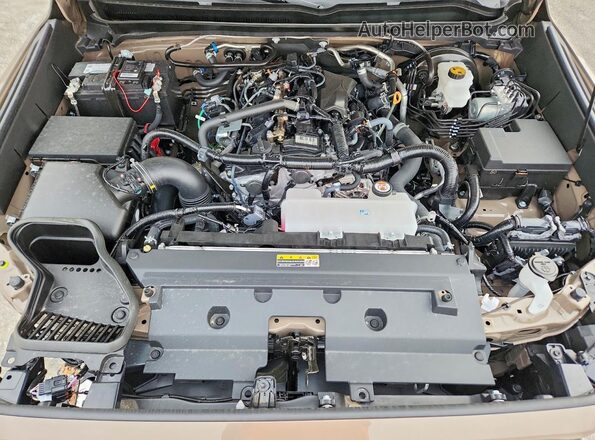 3TMLB5JN9TM219927 2026 TOYOTA TACOMA Коричневый Вид задней части салона