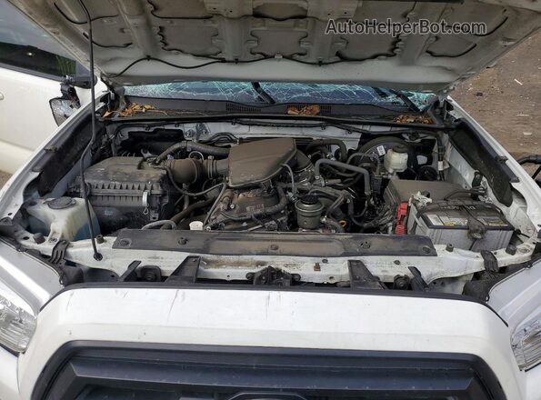 3TYAX5GN6MT013356 2021 TOYOTA TACOMA White უკანა სალონის ხედი