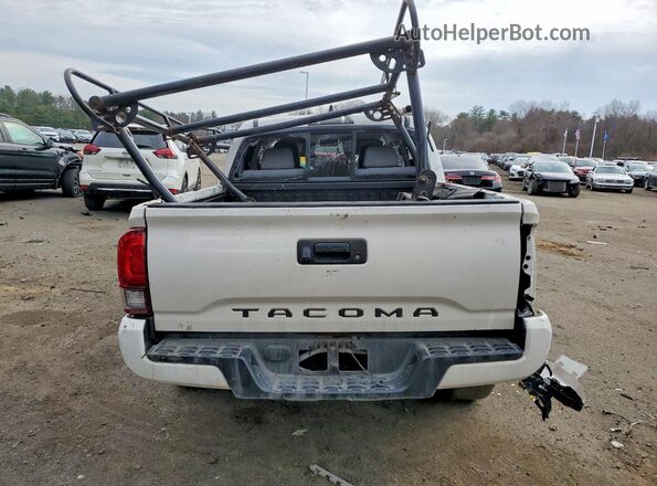 3TYAX5GN6MT013356 2021 TOYOTA TACOMA White უკანა ხედი