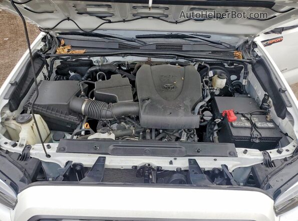 3TYCZ5AN3MT019174 2021 TOYOTA TACOMA White Սալոնի հետևի տեսք