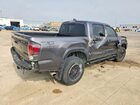 2023 Toyota Tacoma Trd Pro Gray vin: 3TYCZ5AN4PT132491
