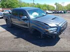 2023 Toyota Tacoma Trd Off Road Gray vin: 3TYCZ5AN5PT128353