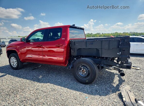 3TYKB5FN2ST016000 2025 TOYOTA TACOMA Red Задня ліва чверть