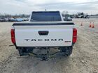 2024 Toyota Tacoma White vin: 3TYKD5HN5RT004425