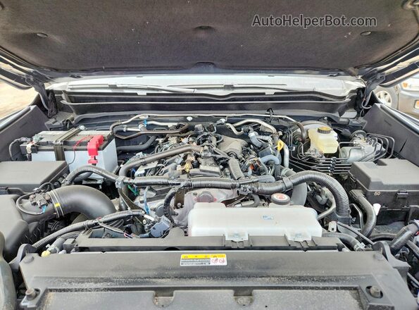 3TYLB5JN6ST100851 2025 TOYOTA TACOMA Gray Սալոնի հետևի տեսք