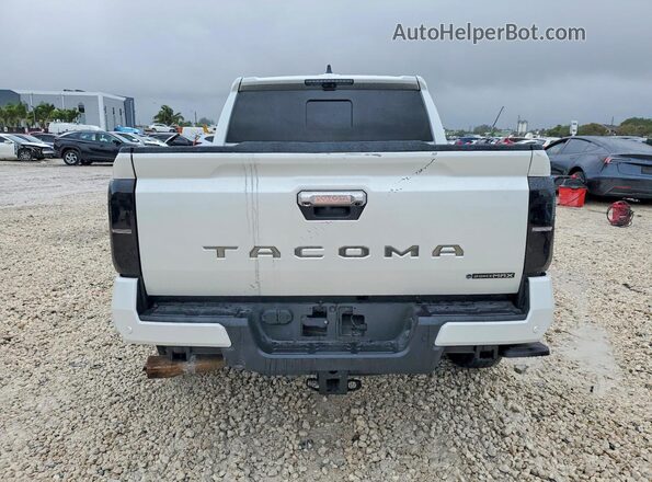 3TYLC5LN5RT011714 2024 TOYOTA TACOMA White Rear view