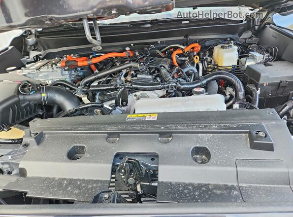 3TYLC5LN5ST048557 2025 TOYOTA TACOMA Gray Սալոնի հետևի տեսք