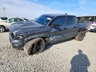 2024 Toyota Tacoma Trd Pro Hv Gray vin: 3TYLC5LN9RT014437