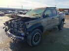 2025 Toyota Tacoma Trd Off-road Hv Tan vin: 3TYLC5LNXST018132
