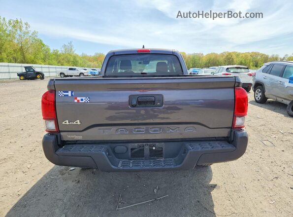 3TYSX5EN0LT002584 2020 TOYOTA TACOMA Серый Вид сзади