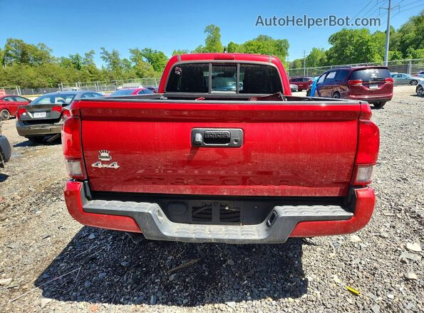 3TYSX5EN6LT002332 2020 TOYOTA TACOMA Red Հետևի տեսք