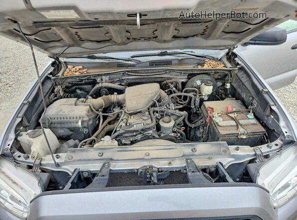 3TYSX5EN8LT002445 2020 TOYOTA TACOMA Серебряный Вид задней части салона
