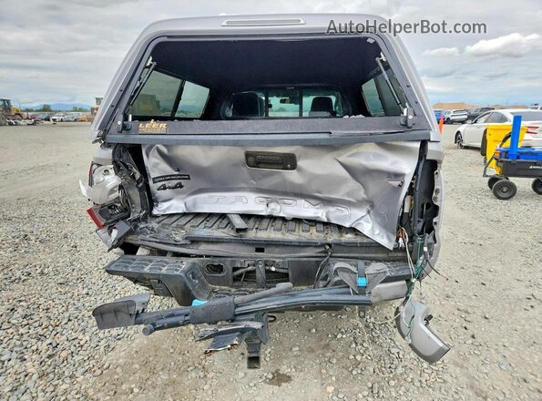 3TYSX5EN8LT002445 2020 TOYOTA TACOMA Серебряный Вид сзади