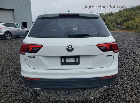 3VV0B7AX8LM176084 2020 VOLKSWAGEN TIGUAN Белый Вид сзади