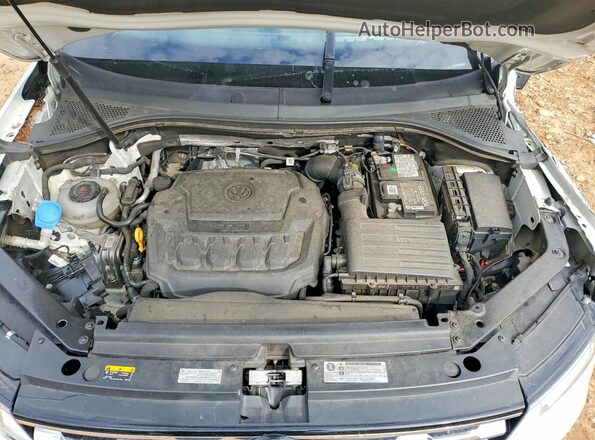 3VV1B7AX0LM043467 2020 VOLKSWAGEN TIGUAN Белый Вид задней части салона