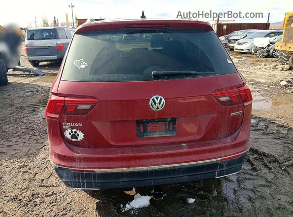 3VV2B7AX0MM123003 2021 VOLKSWAGEN TIGUAN Красный Вид сзади