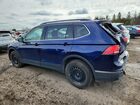 2024 Volkswagen Tiguan Se Blue vin: 3VVMB7AX5RM172360