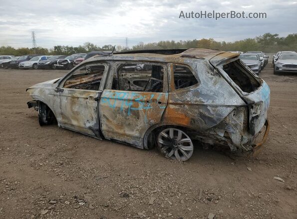 3VVMB7AX6RM065298 2024 VOLKSWAGEN TIGUAN Burn Հետևի ձախ