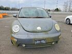 2005 Volkswagen Beetle Gray vin: 3VWCD31C65M412579