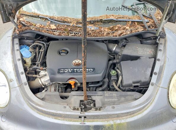 3VWCD31C65M412579 2005 VOLKSWAGEN BEETLE Gray Vista interior trasera