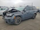 2025 Hyundai Santa Fe Sel Gray vin: 5NMP24GL6SH091469