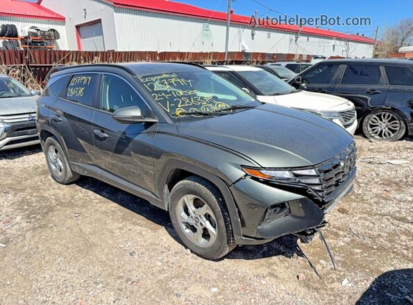 KM8JBCDE8RU286378 2024 HYUNDAI TUCSON Crimson Передняя левая четверть