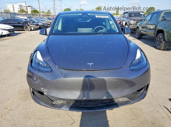 7SAYGDEE3PF664642 2023 TESLA MODEL Серый Вид сзади