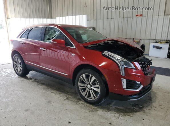 1GYKNCRS9RZ703227 2024 CADILLAC XT5 Красный 