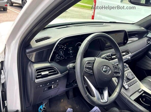 KM8R5DHEXLU135799 2020 HYUNDAI PALISADE Белый Вид задних сидений