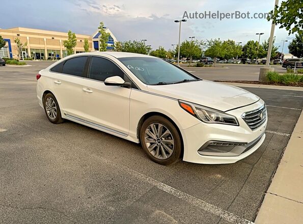 5NPE34AF2HH487725 2017 HYUNDAI SONATA Белый Задняя левая четверть