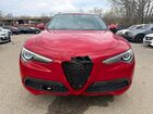 2021 Alfa Romeo Stelvio Red vin: ZASPAKAN8M7D07888