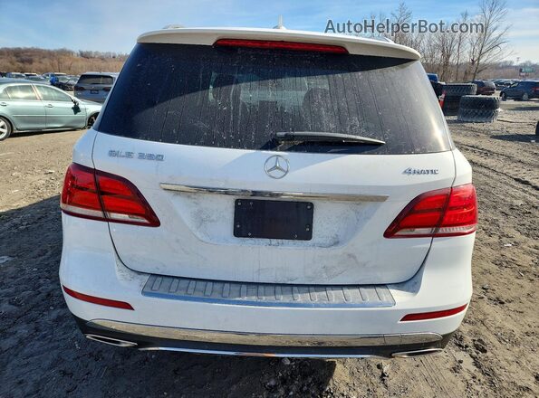 4JGDA5HB6HA817606 2017 MERCEDES-BENZ GLE Белый Вид сзади