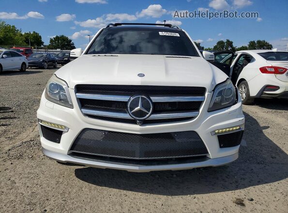 4JGDF7EE3GA670753 2016 MERCEDES-BENZ GL-CLASS White Vista frontal